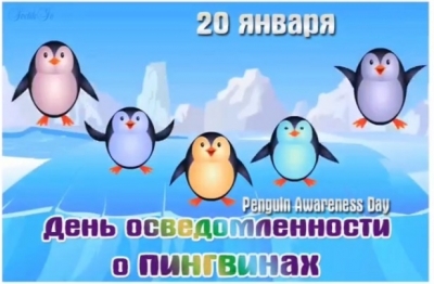 День осведомленности о пингвинах